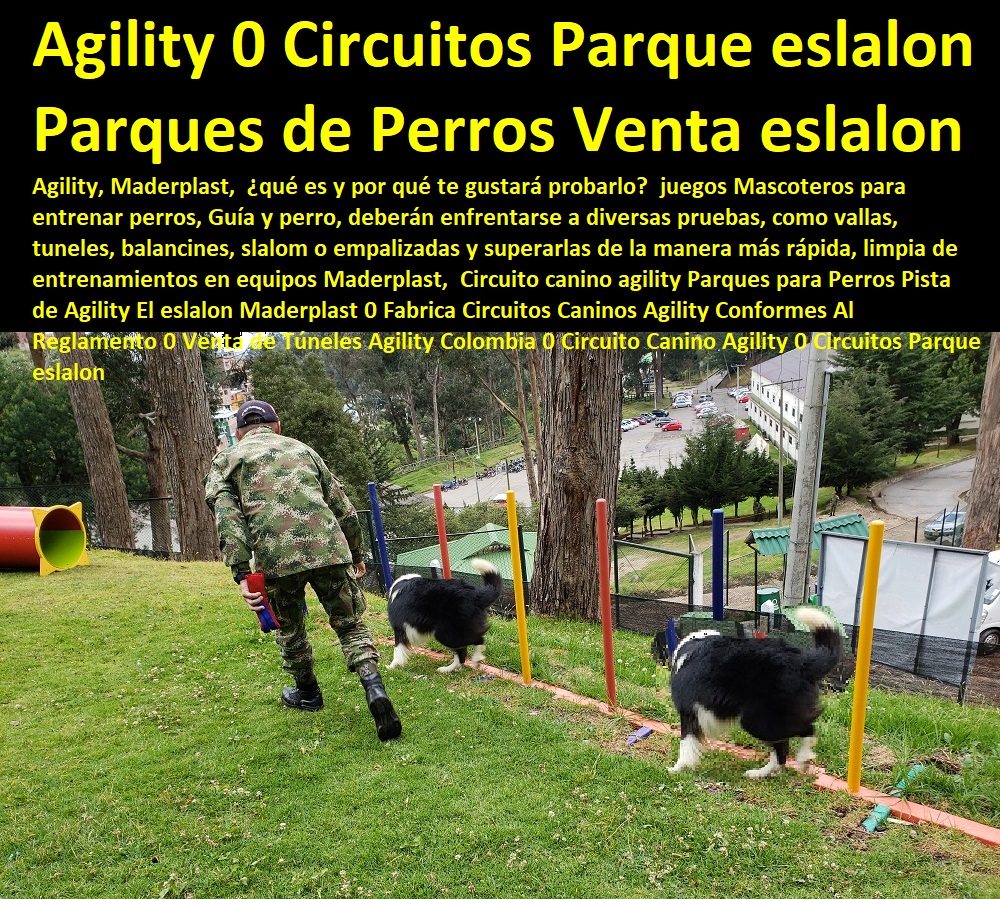 Circuito canino agility Parques para Perros Pista de Agility El eslalon Caninos Para Perros, Equipo De Agility Para Perros, Cunas Y Parideras Para Perros, Parques Para Perros, Corrales Para Perros, Jaulas cuidado de perros, Casas Para Perros Y Mascotas, Agility De Perros, Pistas De Adiestramiento, Maderplast 0 Fabrica Circuitos Caninos Agility Conformes Al Reglamento 0 Venta de Túneles Agility Colombia 0 Circuito Canino Agility 0 Circuitos Parque eslalon Circuito canino agility Parques para Perros Pista de Agility El eslalon Maderplast 0 Fabrica Circuitos Caninos Agility Conformes Al Reglamento 0 Venta de Túneles Agility Colombia 0 Circuito Canino Agility 0 Circuitos Parque eslalon